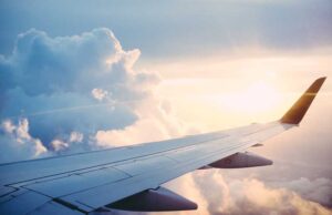 Best Spots to See Wildlife in the U.S.