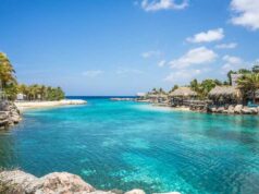 7 Healthy D.I.Y. Airplane Snacks